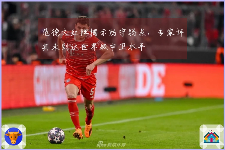 范德文红牌揭示防守弱点，专家评其未到达世界级中卫水平