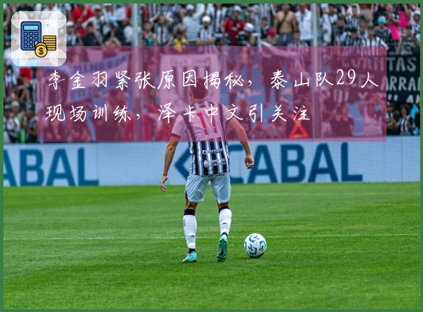 李金羽紧张原因揭秘，泰山队29人现场训练，泽卡中文引关注