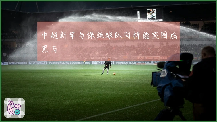 中超新军与保级球队同样能突围成黑马